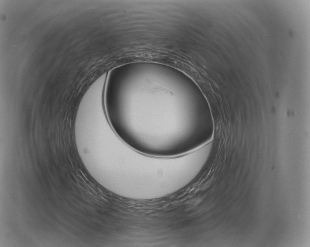 X0000084581202200702230926
