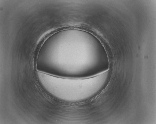 X0000084581214200702230927