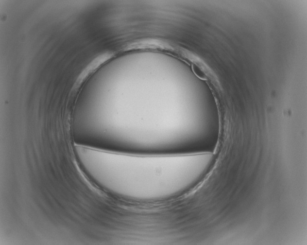X0000084581233200702230927