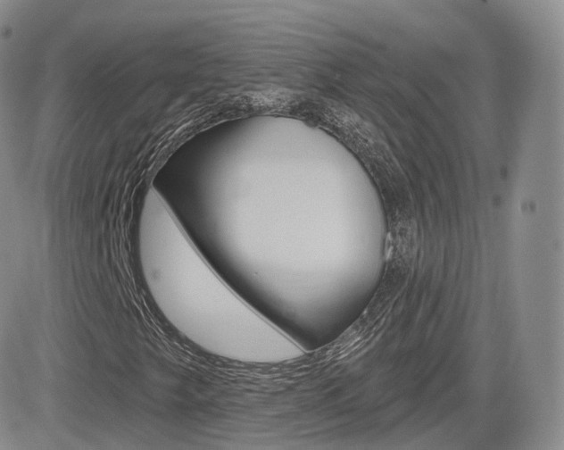 X0000084581249200702230926