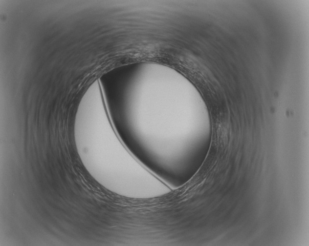 X0000084581250200702230926