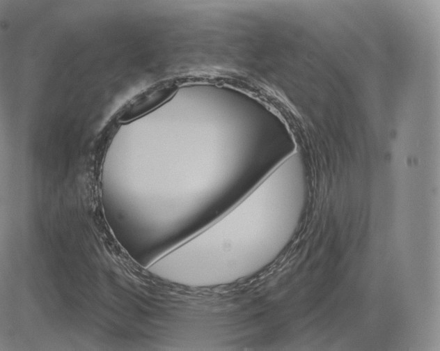 X0000084581256200702230926