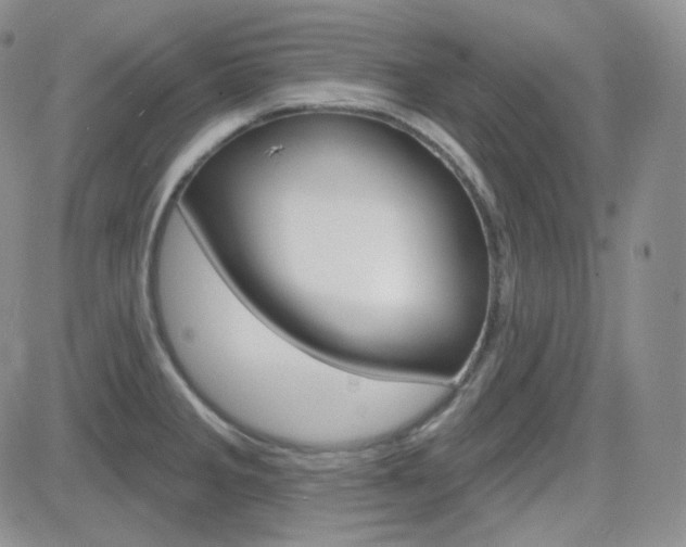 X0000084581285200702230926