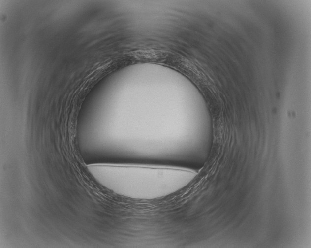 X0000084581297200702230925