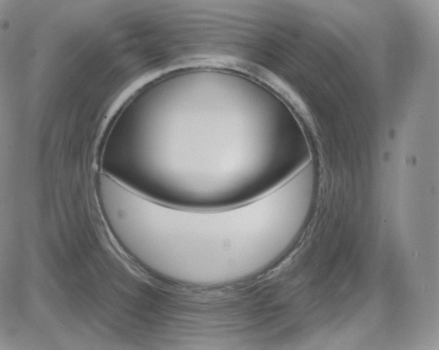 X0000084581332200702230925