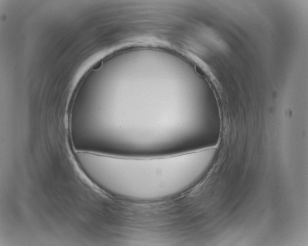 X0000084581335200702230925