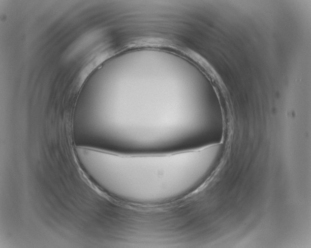 X0000084581337200702230925