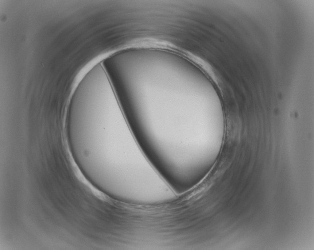 X0000084581387200702230924