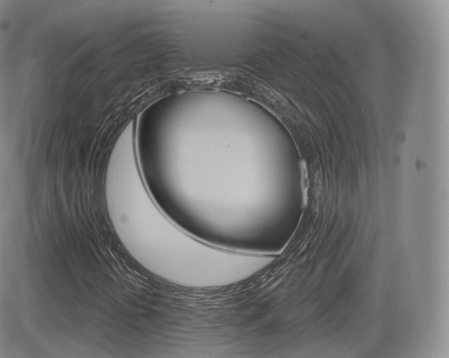 X0000084581394200702230923