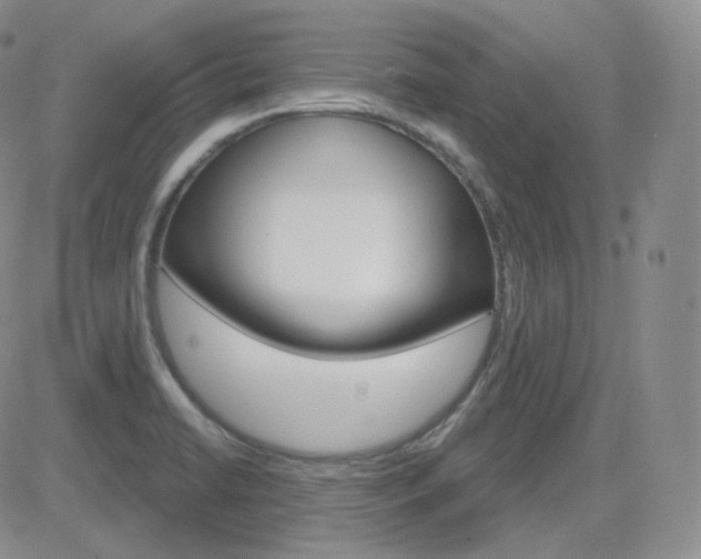 X0000084581422200702230924