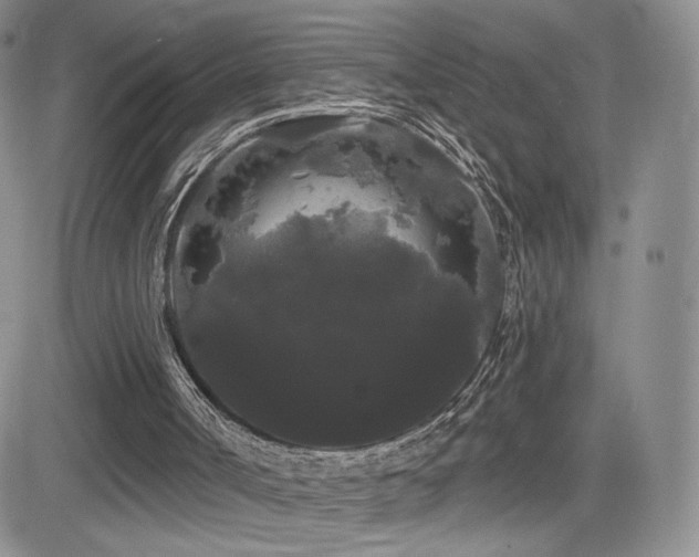 X0000084580002200702231307
