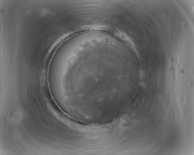 X0000084580012200702231307
