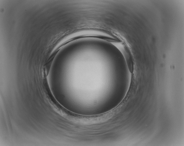 X0000084580017200702231307