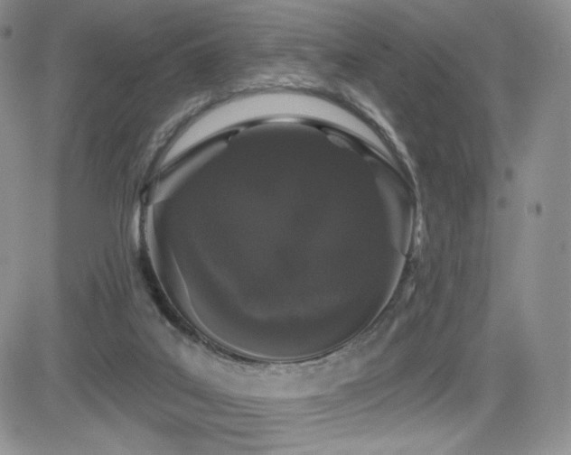 X0000084580019200702231307