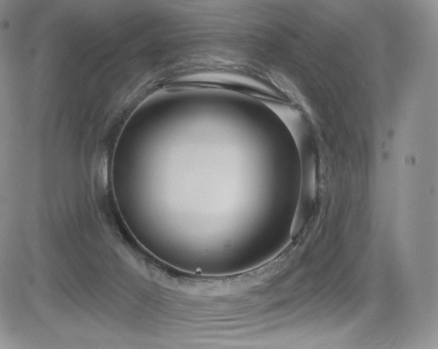 X0000084580021200702231307