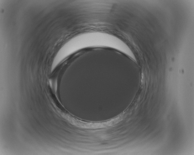 X0000084580031200702231307