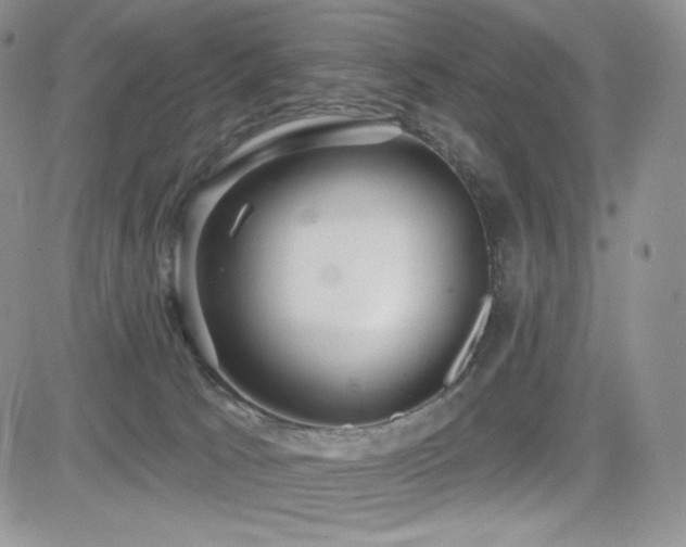 X0000084580033200702231307