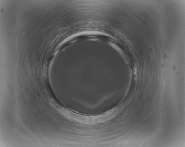 X0000084580035200702231307