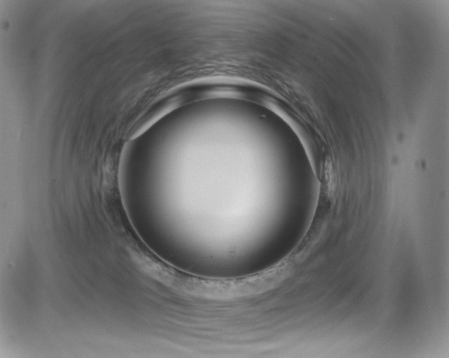X0000084580037200702231307