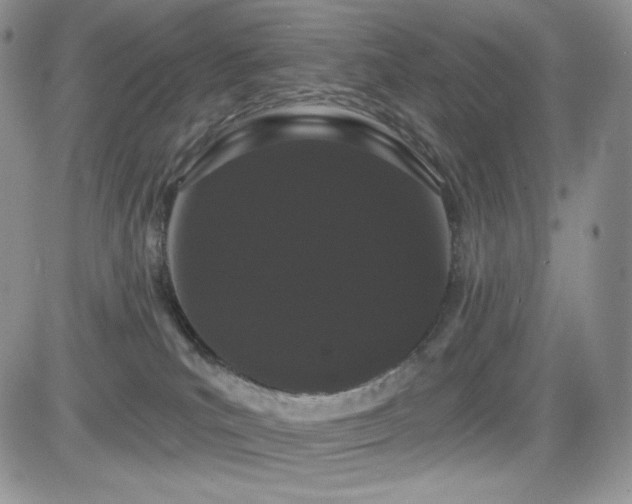 X0000084580039200702231307