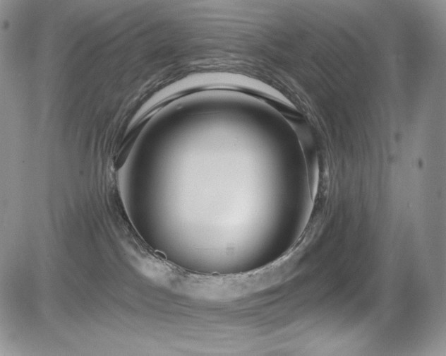 X0000084580045200702231307