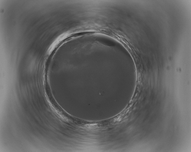 X0000084580054200702231306