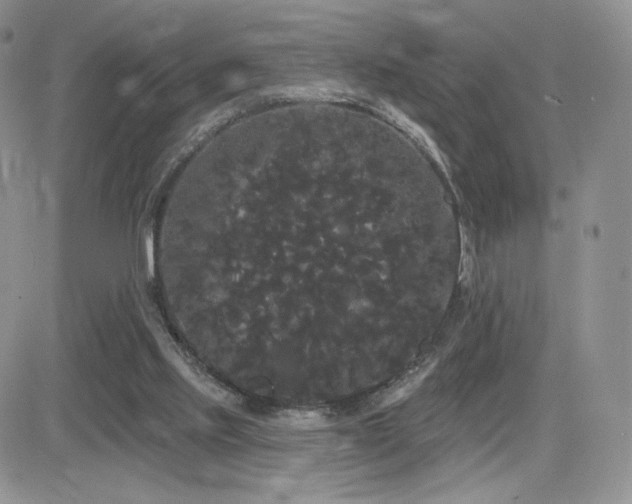 X0000084580061200702231306