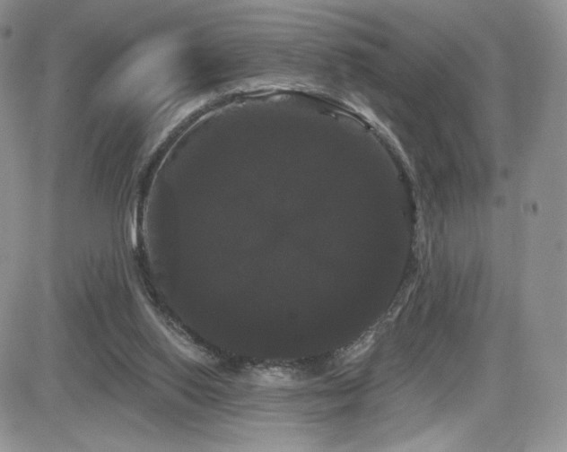 X0000084580062200702231306