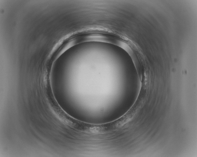 X0000084580064200702231306