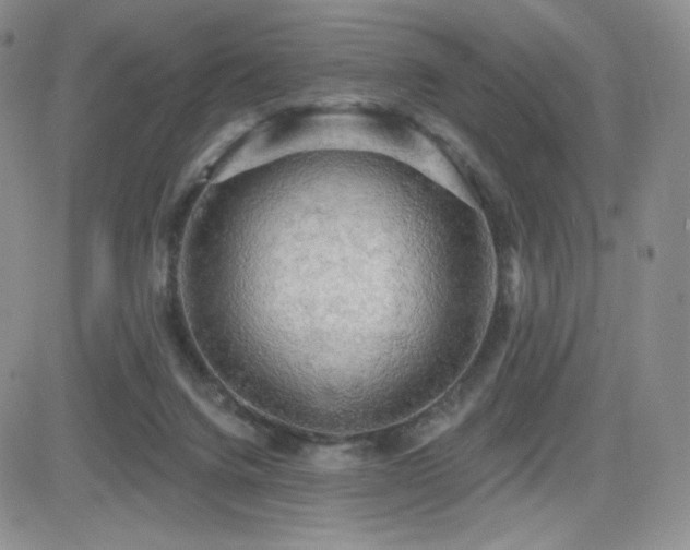 X0000084580072200702231306