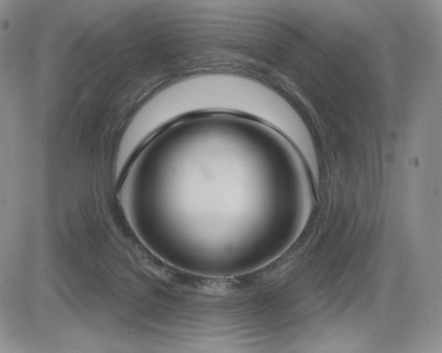 X0000084580076200702231306