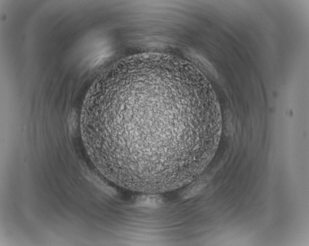 X0000084580077200702231306