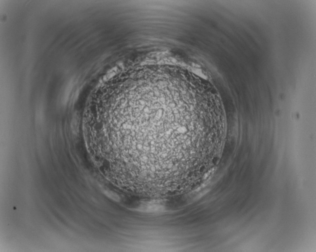 X0000084580078200702231306
