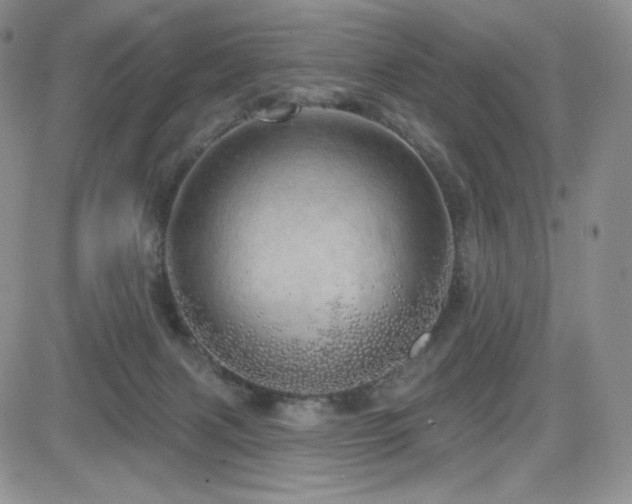 X0000084580079200702231306