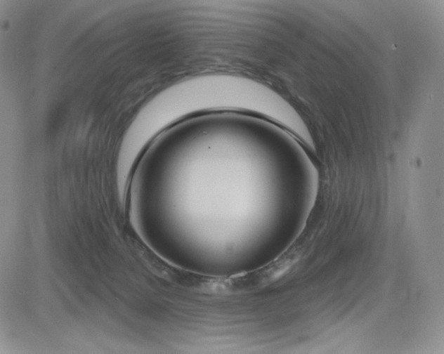 X0000084580080200702231306