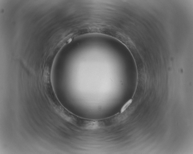 X0000084580083200702231306