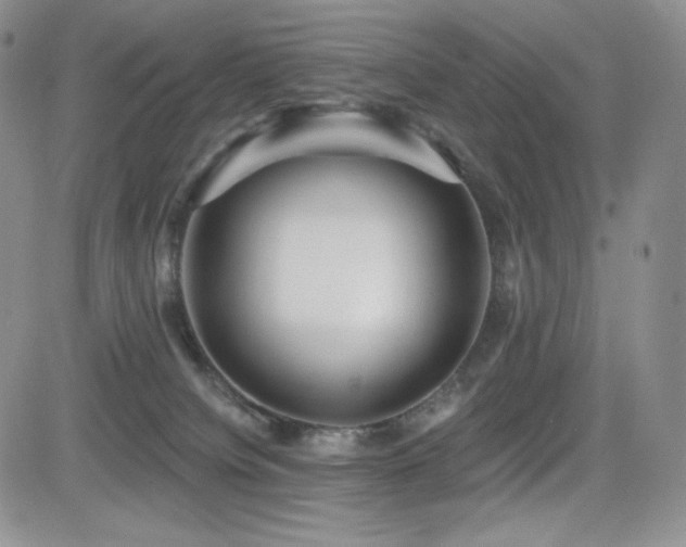 X0000084580084200702231306