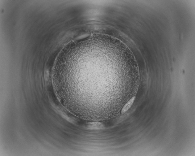 X0000084580087200702231306