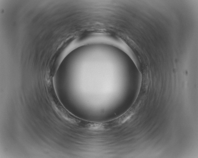 X0000084580088200702231306