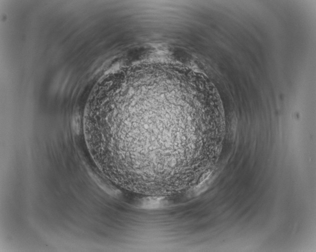 X0000084580090200702231306