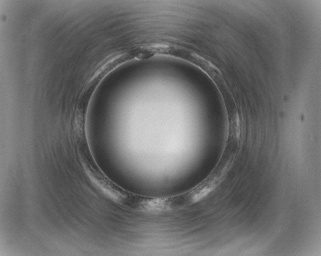 X0000084580092200702231307