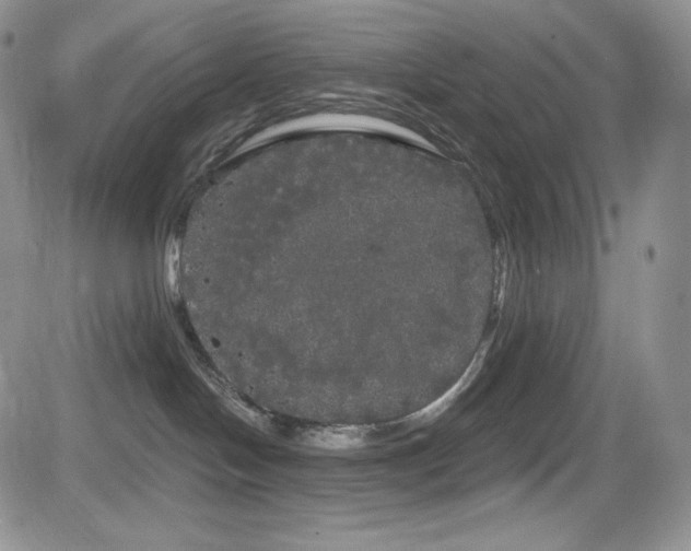 X0000084580094200702231307