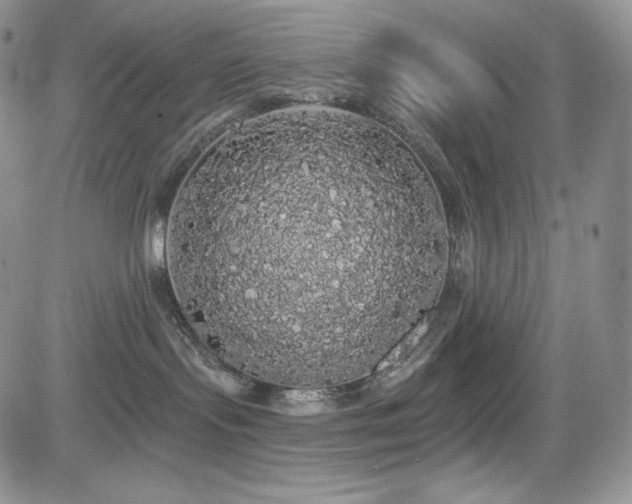 X0000084580095200702231307
