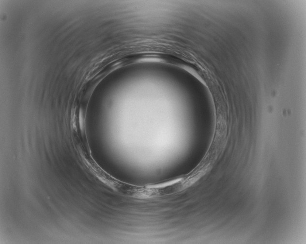 X0000084580096200702231307