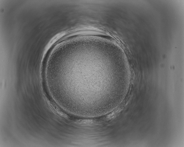 X0000084580104200702231306