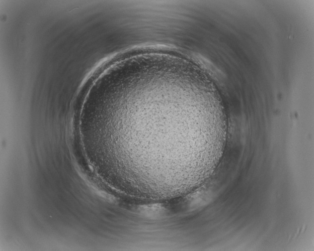 X0000084580112200702231306