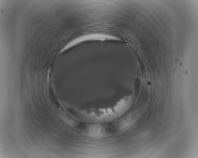 X0000084580127200702231305