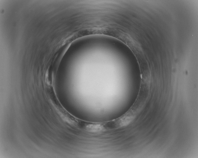 X0000084580133200702231305