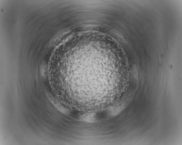 X0000084580138200702231305