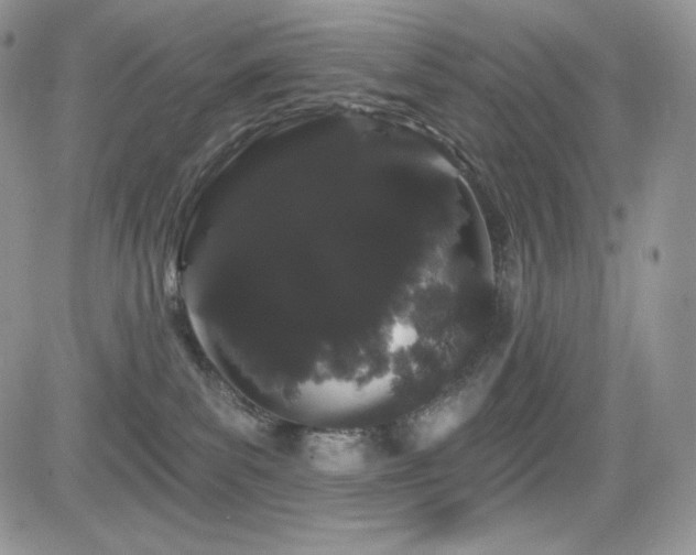 X0000084580139200702231305